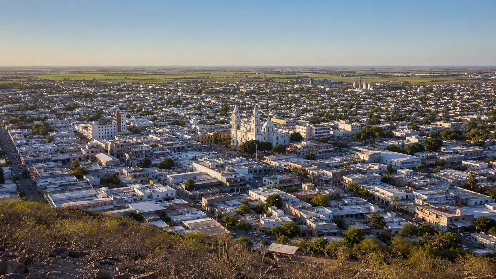 Mudanzas en Los Mochis